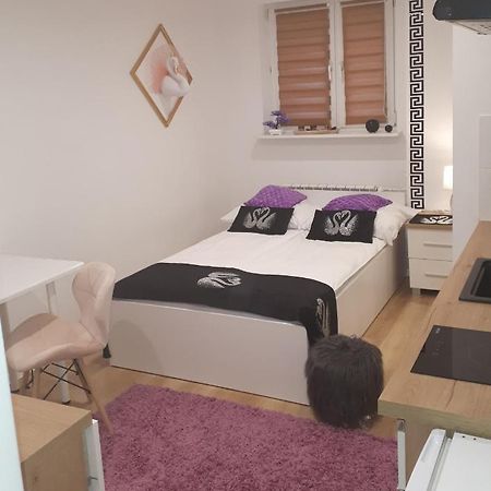Apartamenty Centrum Panoramiczna Mala Dwojka Swan Labedz Promenada Klimatyzacja Lodowa Kielce Exterior foto