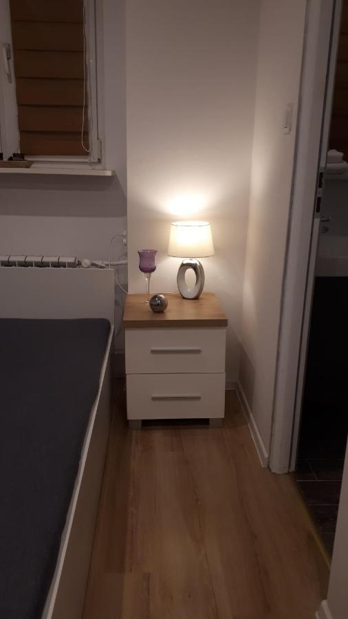 Apartamenty Centrum Panoramiczna Mala Dwojka Swan Labedz Promenada Klimatyzacja Lodowa Kielce Exterior foto