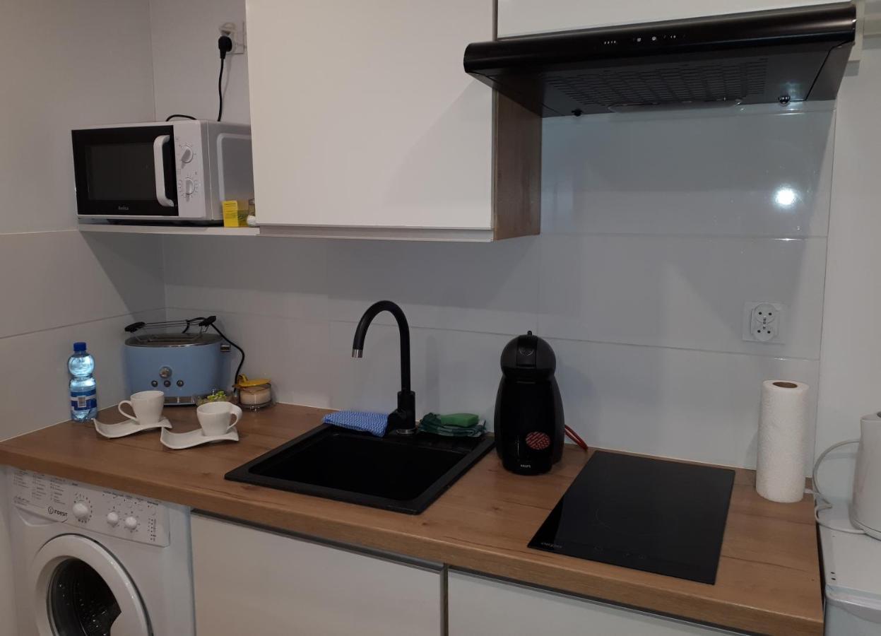 Apartamenty Centrum Panoramiczna Mala Dwojka Swan Labedz Promenada Klimatyzacja Lodowa Kielce Exterior foto