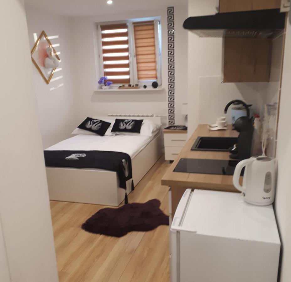 Apartamenty Centrum Panoramiczna Mala Dwojka Swan Labedz Promenada Klimatyzacja Lodowa Kielce Exterior foto
