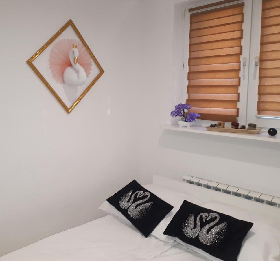 Apartamenty Centrum Panoramiczna Mala Dwojka Swan Labedz Promenada Klimatyzacja Lodowa Kielce Exterior foto