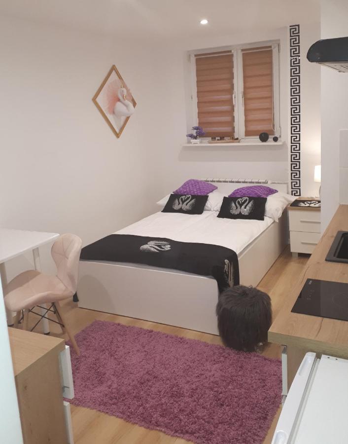 Apartamenty Centrum Panoramiczna Mala Dwojka Swan Labedz Promenada Klimatyzacja Lodowa Kielce Exterior foto
